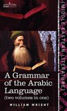 Grammar of the Arabic Language (Two Volumes in One) - William Wright ; Carl Paul Caspari - 9781646796564