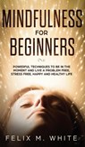 Mindfulness for Beginners - Felix M White - 9781646949762