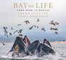 Bay of Life - Frans Lanting ; Chris Eckstrom - 9781647221430