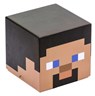 Minecraft: Steve Block Stationery Set -  - 9781647228231