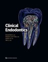Clinical Endodontics - Brooke Blicher ; Rebekah Lucier Pryles ; Jarshen Lin ; Alice Li - 9781647241858
