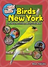 Kids' Guide to Birds of New York - Stan Tekiela - 9781647555078