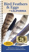 Bird Feathers & Eggs of California - Stephanie Panlasigui - 9781647556631