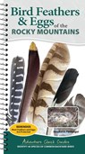 Bird Feathers & Eggs of the Rocky Mountains - Stephanie Panlasigui - 9781647556655