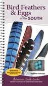 Bird Feathers & Eggs of the South - Stephanie Panlasigui - 9781647556662