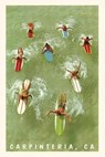 The Vintage Journal Colorful Surfers and Surf Boards in Green Water, Carpinteria - Found Image Press - 9781648116766