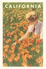 The Vintage Journal Woman sitting in Field of California Poppies - Found Image Press - 9781648116988