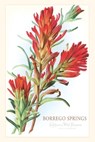 Vintage Journal Borrego Springs, Wildflowers - Found Image Press - 9781648117848