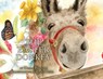 The Easter Donkey - Donna Thornton - 9781649603678