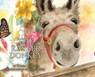 The Easter Donkey - Donna Thornton - 9781649604378