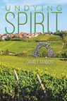 Undying Spirit - David T Sanders - 9781649797919