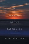 A Scandal of the Particular - Steve Hamilton - 9781663240057