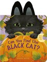 Can You Find the Black Cat?: With Flaps to Lift! - Danielle McLean - 9781664351561