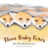 Three Baby Foxes - Susan Brimigion - 9781665766210