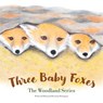 Three Baby Foxes - Susan Brimigion - 9781665766227