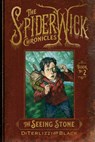 The Seeing Stone - Tony Diterlizzi - 9781665928687