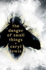 The Danger of Small Things - Caryl Lewis - 9781665977531