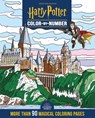 Harry Potter Color-by-Number - Editors of Thunder Bay Press - 9781667206325