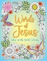 Words of Jesus Glow-In-The-Dark Coloring - Editors of Thunder Bay Press - 9781667210162