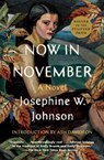Now in November - Josephine Johnson - 9781668004234