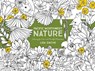Pacific Northwest Nature: Coloring for Calm and Mindful Observation - Lida Enche - 9781680510928