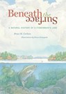 Beneath The Surface - Bruce M. Carlson - 9781681342733