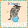 Kittens Pounce - Rebecca Stromstad Glaser - 9781681521978