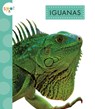 Iguanas - Alissa Thielges - 9781681527840
