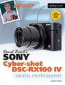 David Busch's Sony Cyber-shot DSC-RX100 IV - David Busch - 9781681981260
