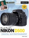 David Busch's Nikon D500 Guide to Digital SLR Photography - David D. Busch - 9781681981468