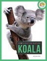 Spotlight on Nature: Koala - Melissa Gah - 9781682770344