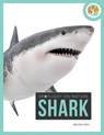 Spotlight on Nature: Shark - Melissa Gah - 9781682770351