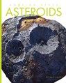 Asteroids - Matt Lilley - 9781682775974