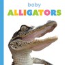 Baby Alligators - Kim Thompson - 9781682778302