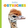 Baby Ostriches - Kim Thompson - 9781682778371