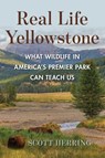 Real Life Yellowstone - Scott Herring - 9781683344667