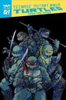 Teenage Mutant Ninja Turtles: Reborn, Vol. 1 - From The Ashes - Kevin Eastman ; Tom Waltz - 9781684056873