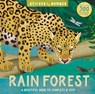 Rain Forest - Kathryn Jewitt - 9781684648122
