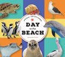 Animal Adventures: Day in the Bay - Fiona Craig - 9781685551469