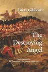 The Destroying Angel: The Rifle-Musket as the First Modern Infantry Weapon - Brett Gibbons - 9781719857277