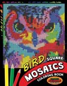 Bird Square Mosaics Coloring Book: Colorful Animals Coloring Pages Color by Number Puzzle - Kodomo Publishing - 9781725177352