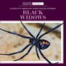 Black Widows - ALDOLPHO,  Roxanne - 9781725351172