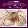 Brown Recluse Spiders - ALDOLPHO,  Roxanne - 9781725351202