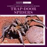 Trap-Door Spiders - ALDOLPHO,  Roxanne - 9781725351325