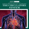 The Circulatory System - MCCLURE,  Leigh - 9781725351356