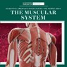 The Muscular System - Leigh McClure - 9781725351417