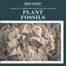 Plant Fossils - Natalie Humphrey - 9781725352087