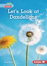 Let's Look at Dandelions - Katie Peters - 9781728403137