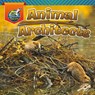 Animal Architects - Lisa J. Amstutz - 9781731615060
