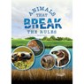 Animals That Break the Rules - Natasha Vizcarra - 9781731658029